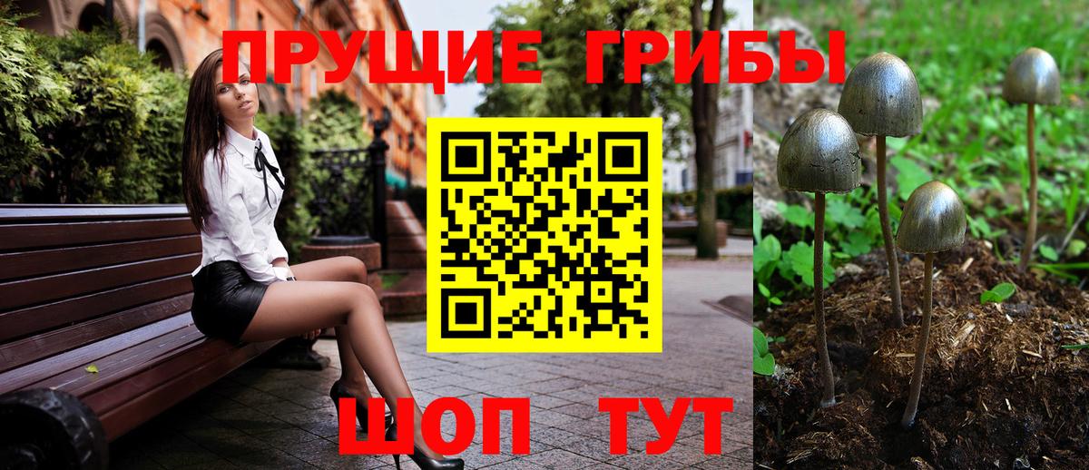 Псилоцибиновые грибы Psilocybe Строитель
