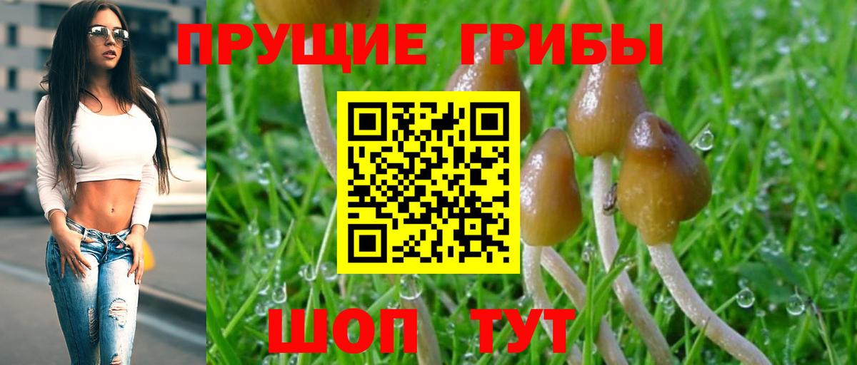 Псилоцибиновые грибы прущие грибы  Галлюциногенные грибы Magic Shrooms  Вход с VPN  Строитель 